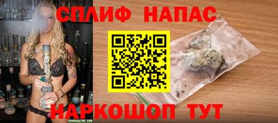 сатива Новозыбков
