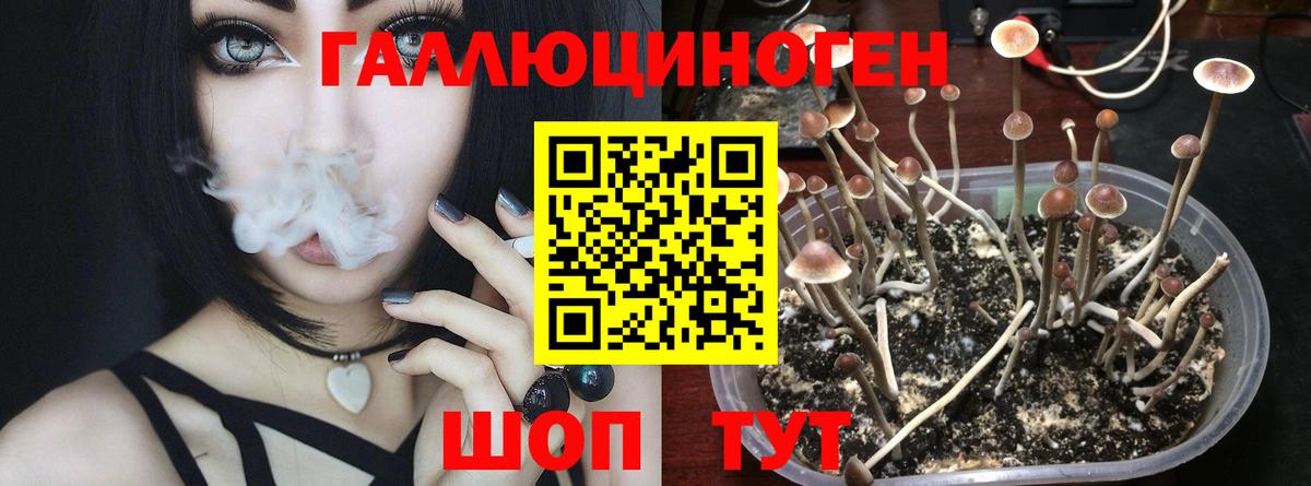 Псилоцибиновые грибы прущие грибы  Псилоцибиновые грибы мухоморы  Киржач  Вход с VPN 